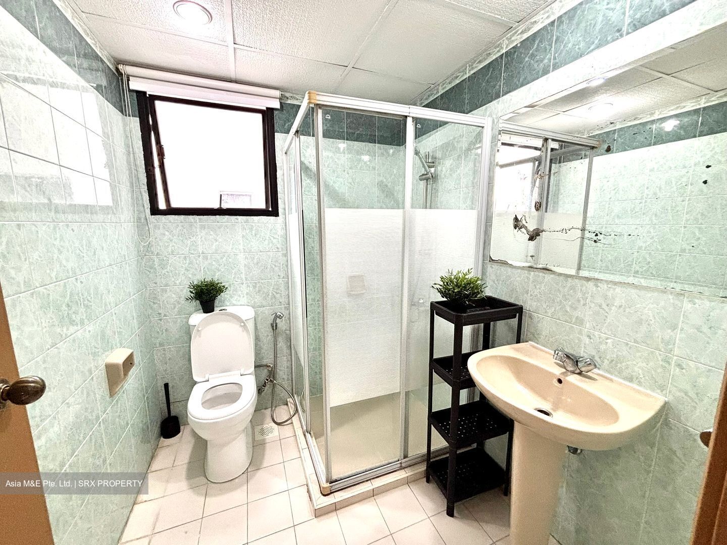 Central Green Condominium (D3), Condominium #613271651